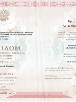 Фото врача Прохорова Анна Максимовна