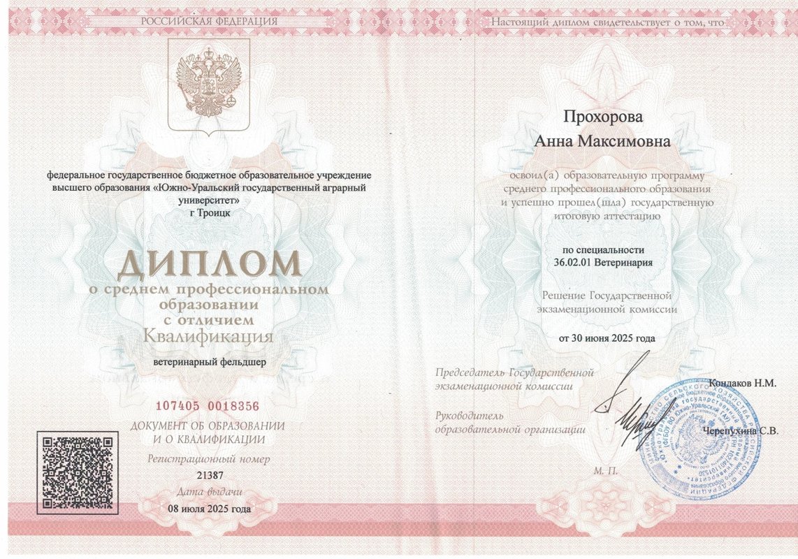 Документ или сертификат