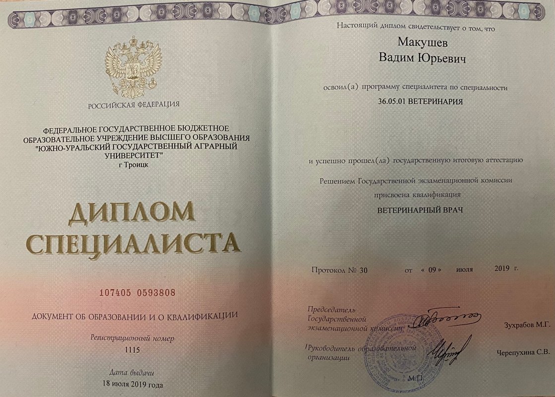 Документ или сертификат
