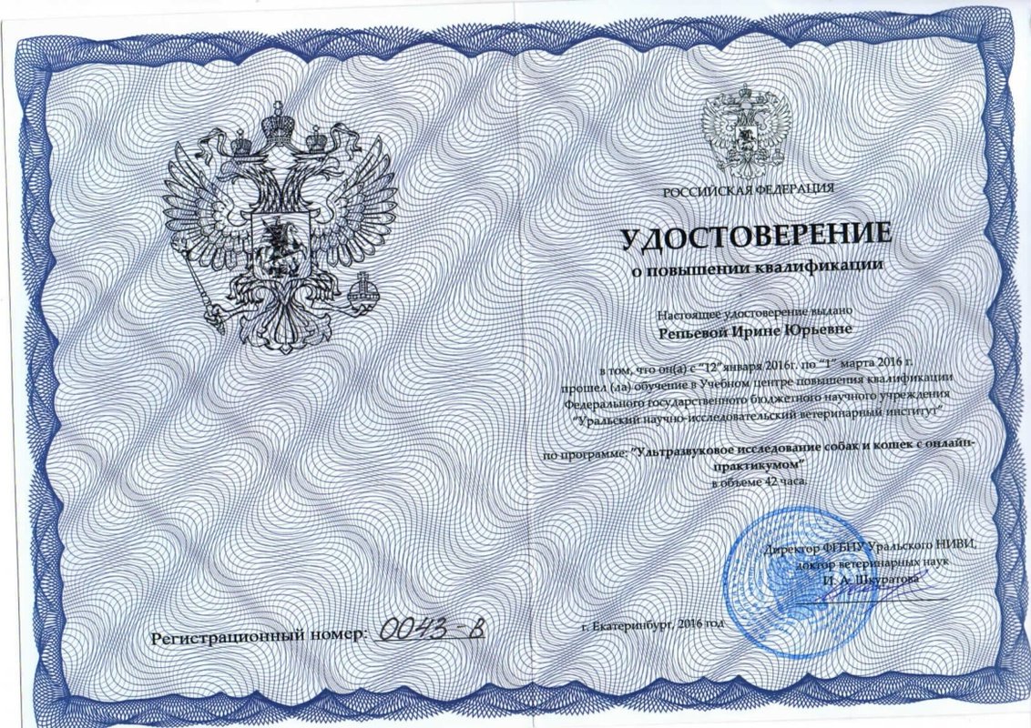 Документ или сертификат