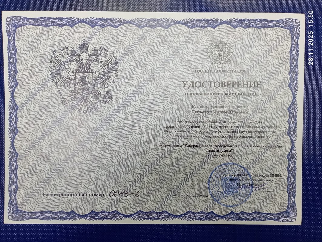 Документ или сертификат