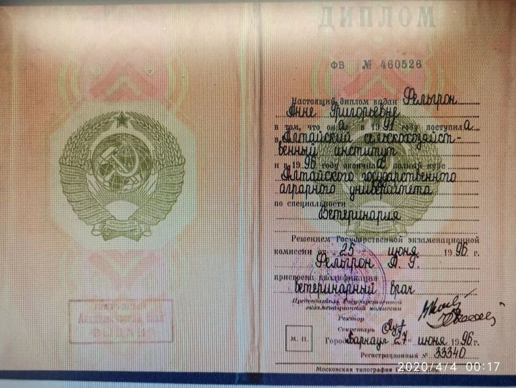 Документ или сертификат