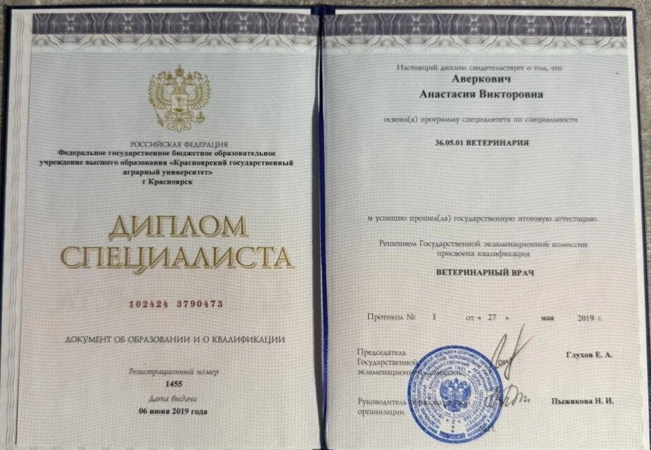 Документ или сертификат