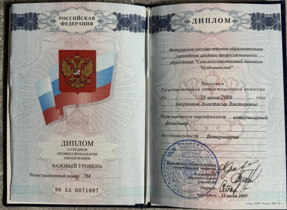 Документ или сертификат