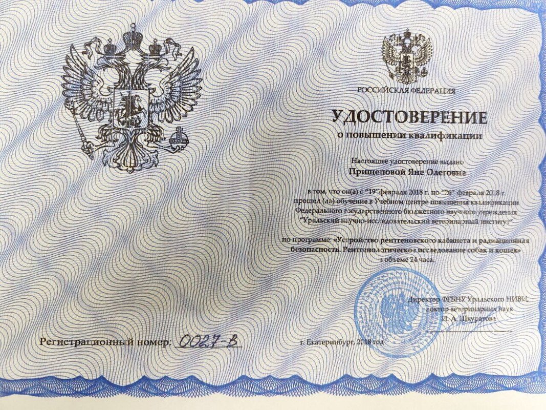 Документ или сертификат