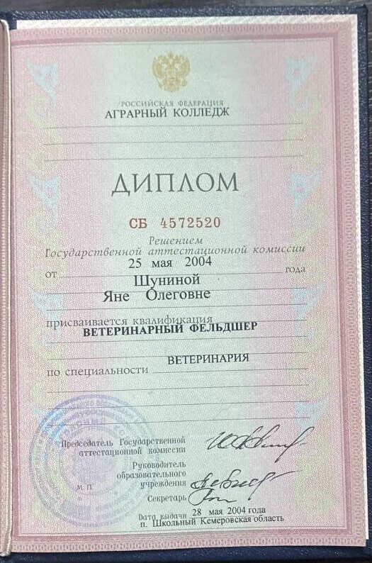 Документ или сертификат