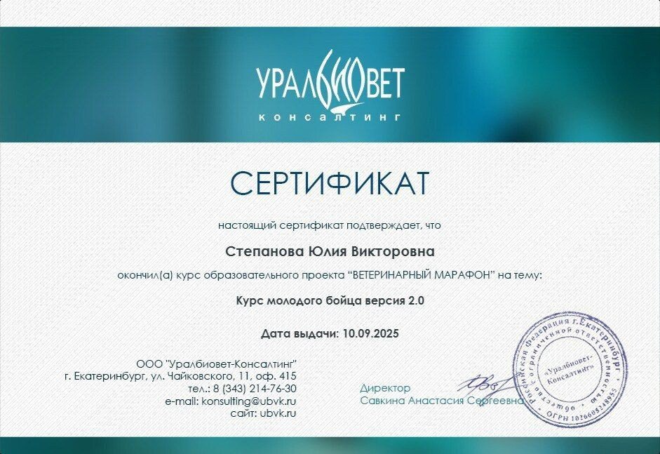 Документ или сертификат