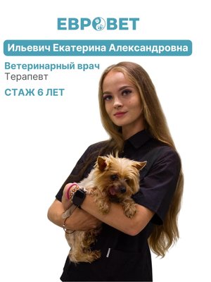 Фото врача Ильевич Екатерина Александровна