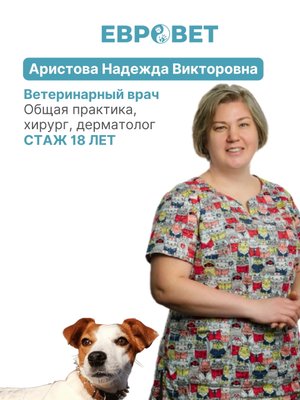 Фото врача Аристова Надежда Викторовна