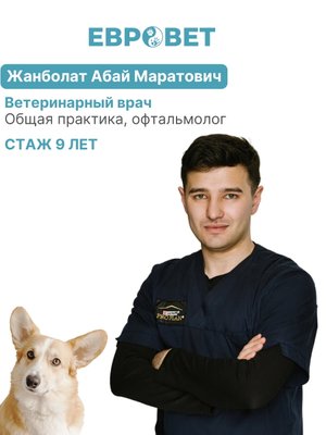 Фото врача Жанболат Абай Маратович