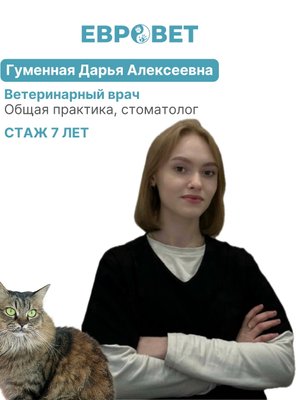 Фото врача Гуменная Дарья Алексеевна