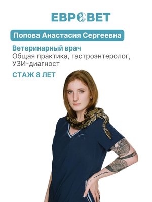 Фото врача Попова Анастасия Сергеевна