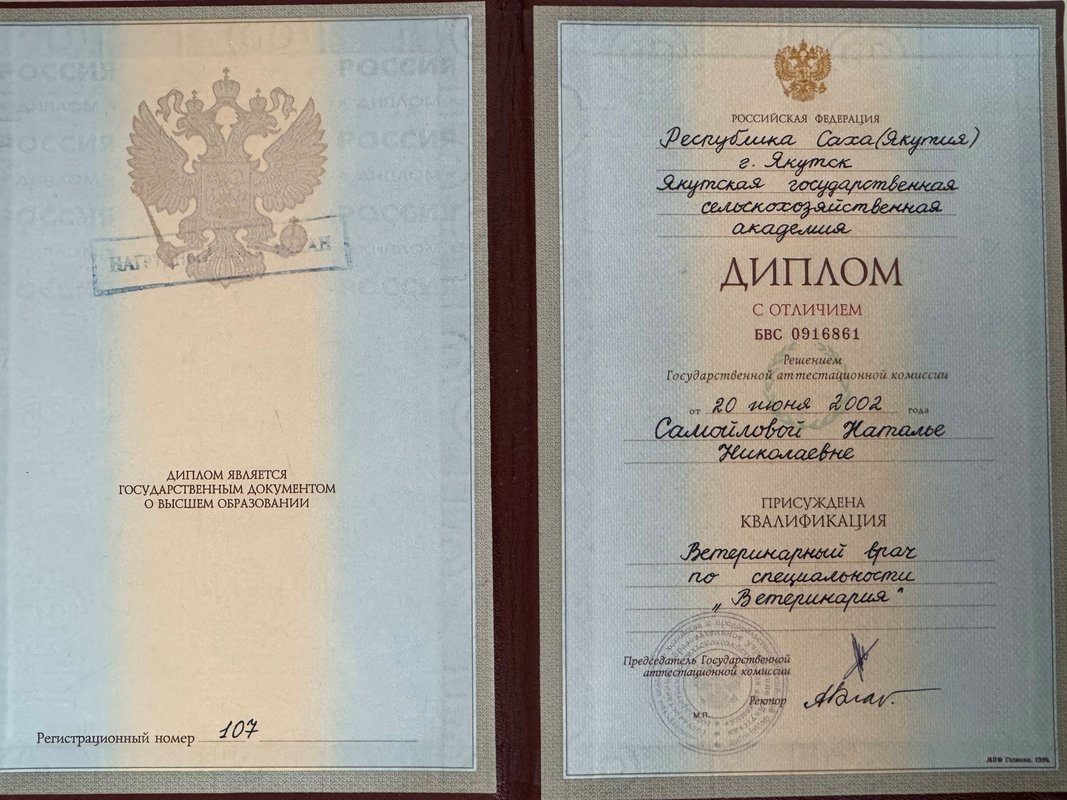 Документ или сертификат