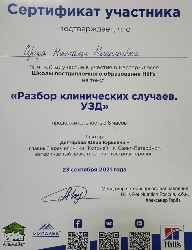 Документ или сертификат