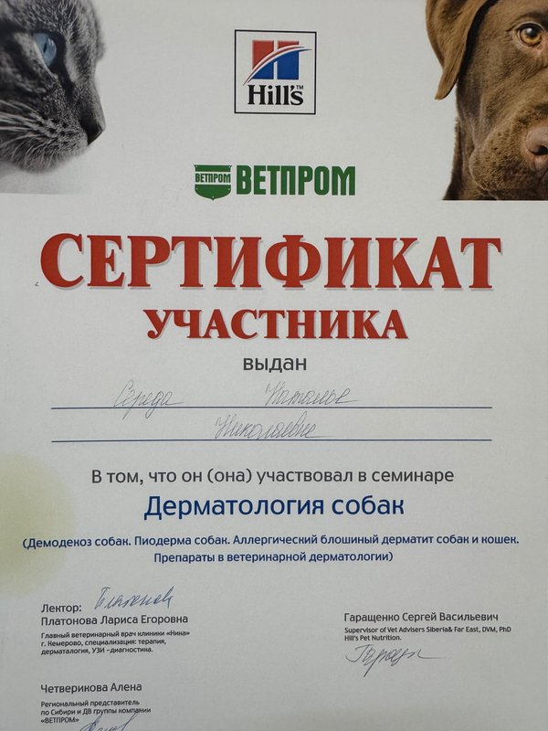 Документ или сертификат