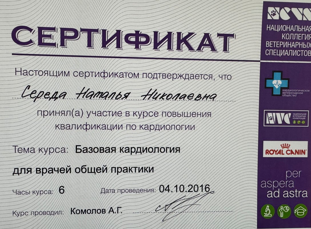 Документ или сертификат