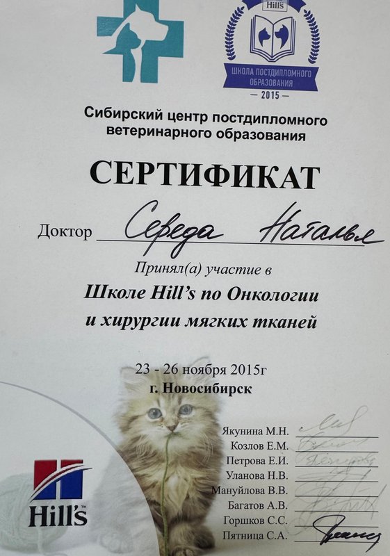 Документ или сертификат