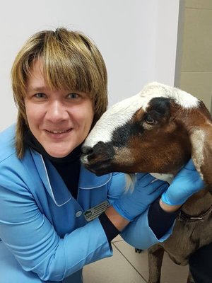 Фото врача Самойлова Екатерина Александровна