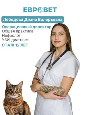 Фото врача Лебедева Диана Валерьевна