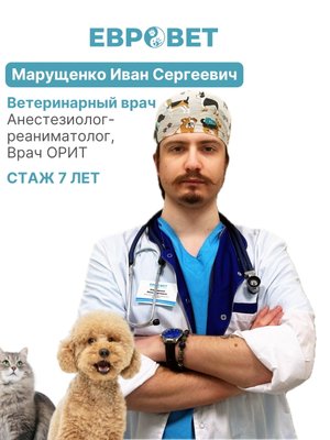 Фото врача Муращенко Иван Сергеевич