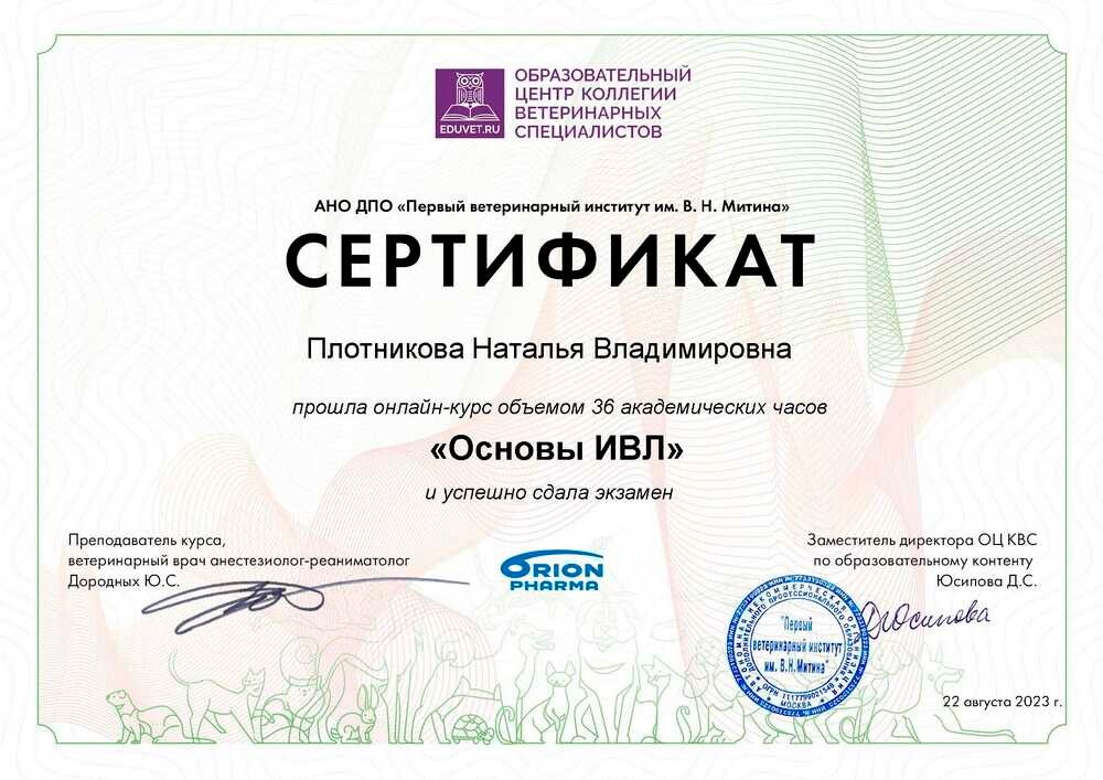 Документ или сертификат