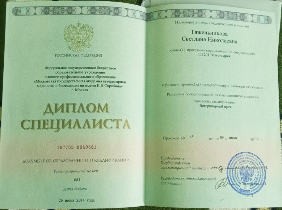 Документ или сертификат