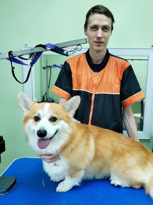 Фото врача Денис Моторин