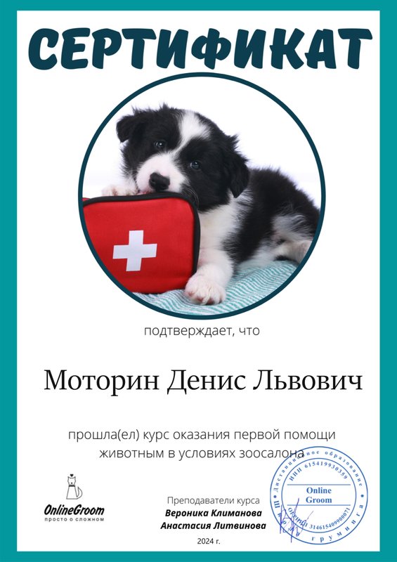 Документ или сертификат