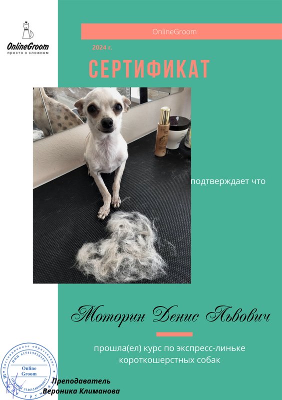 Документ или сертификат