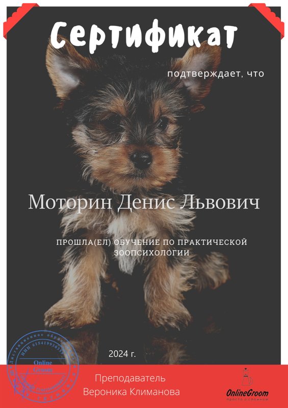 Документ или сертификат