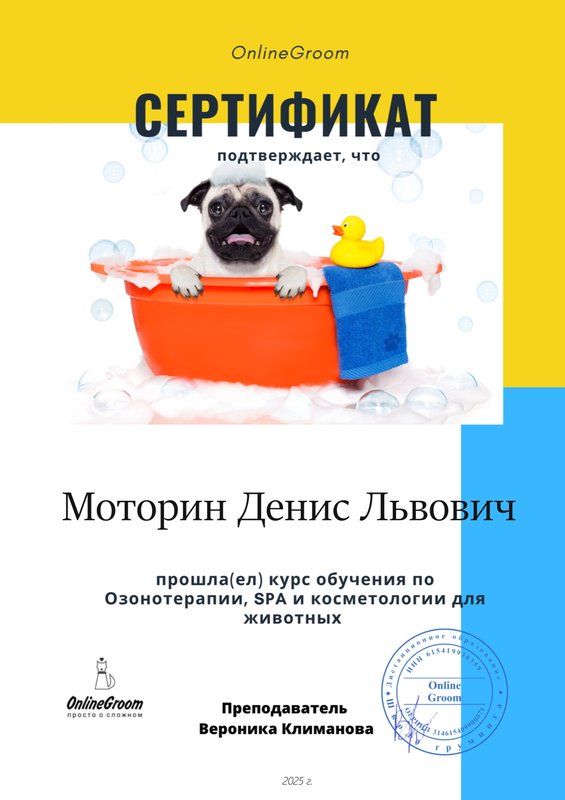 Документ или сертификат