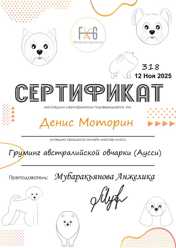 Документ или сертификат