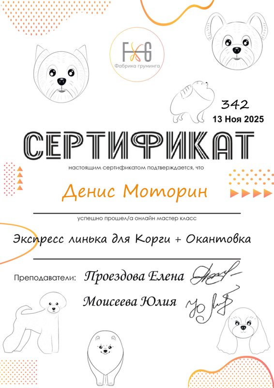 Документ или сертификат