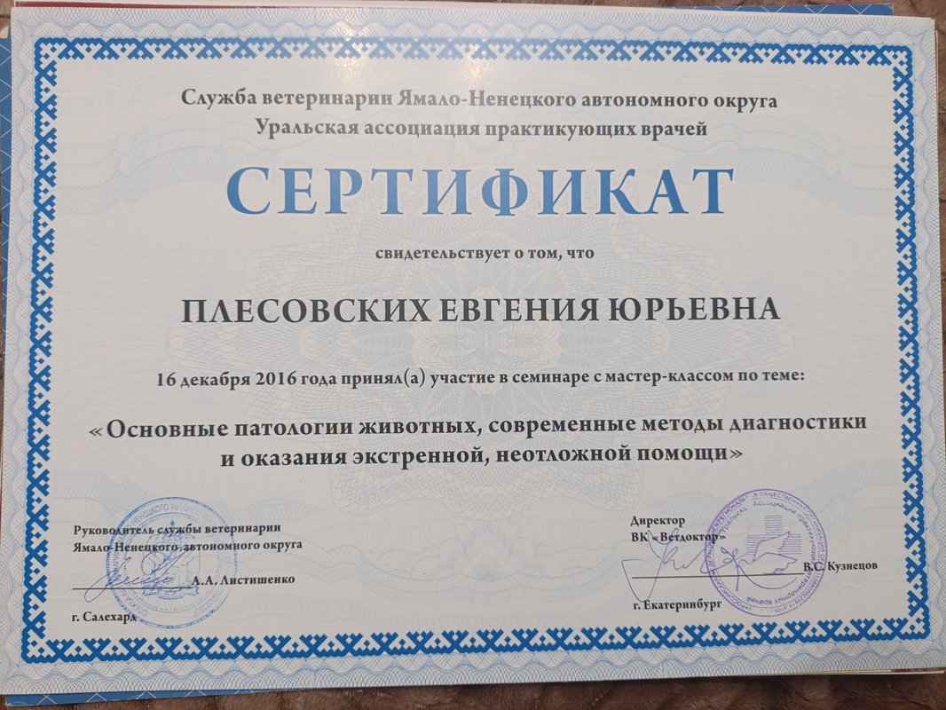 Документ или сертификат