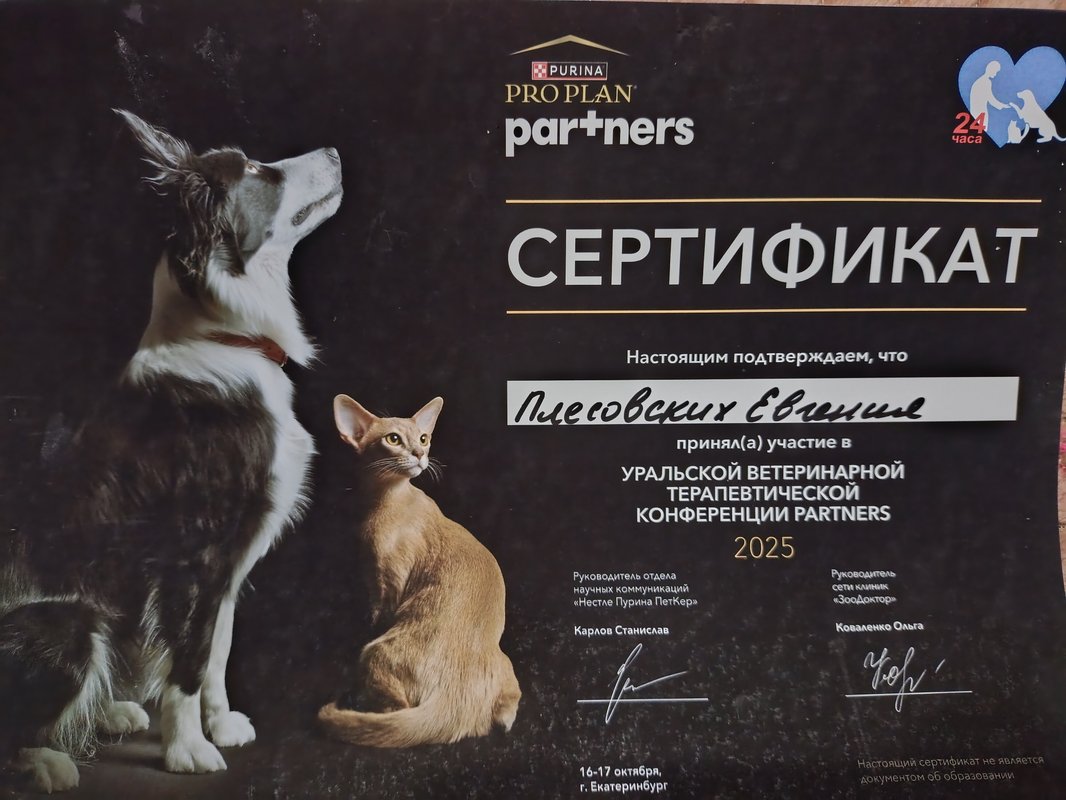 Документ или сертификат