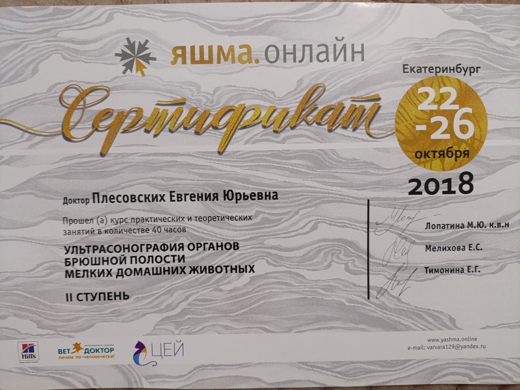 Документ или сертификат