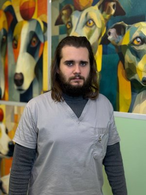 Фото врача Гринько Дмитрий Александрович