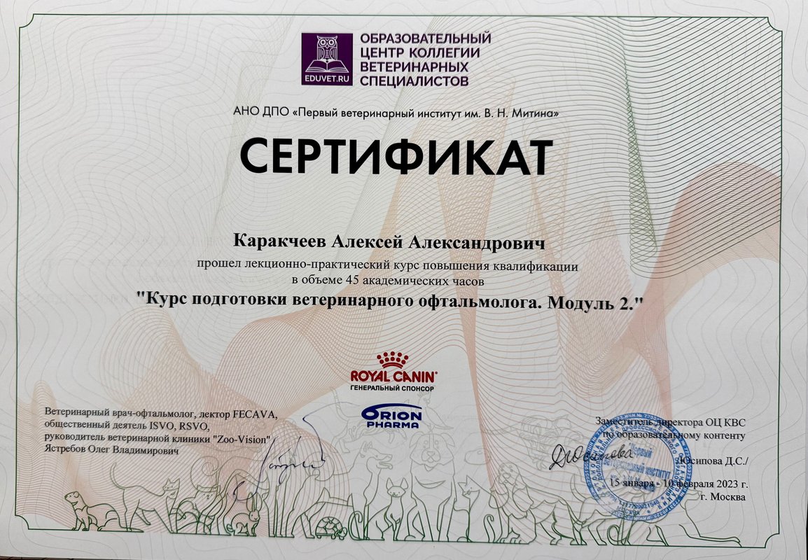 Документ или сертификат