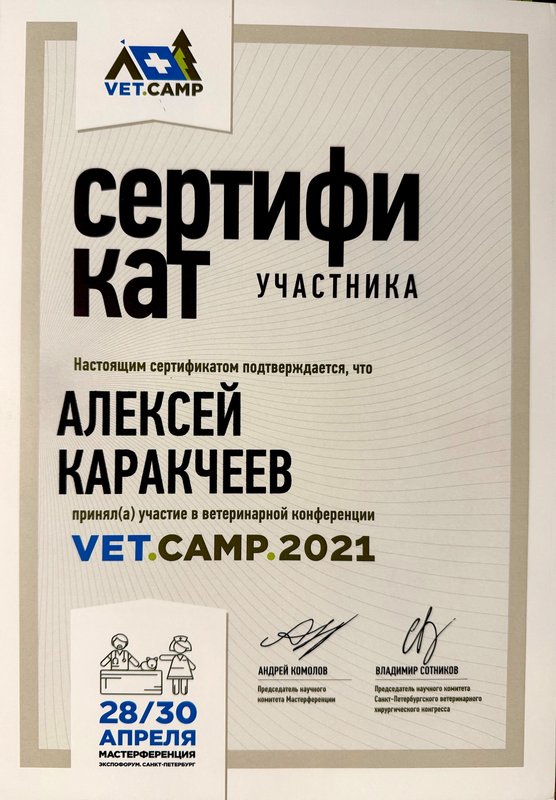 Документ или сертификат