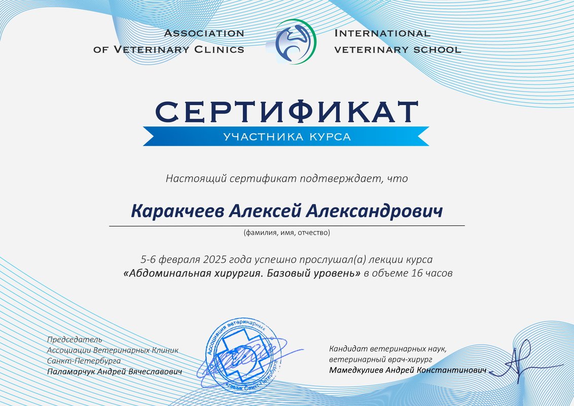 Документ или сертификат