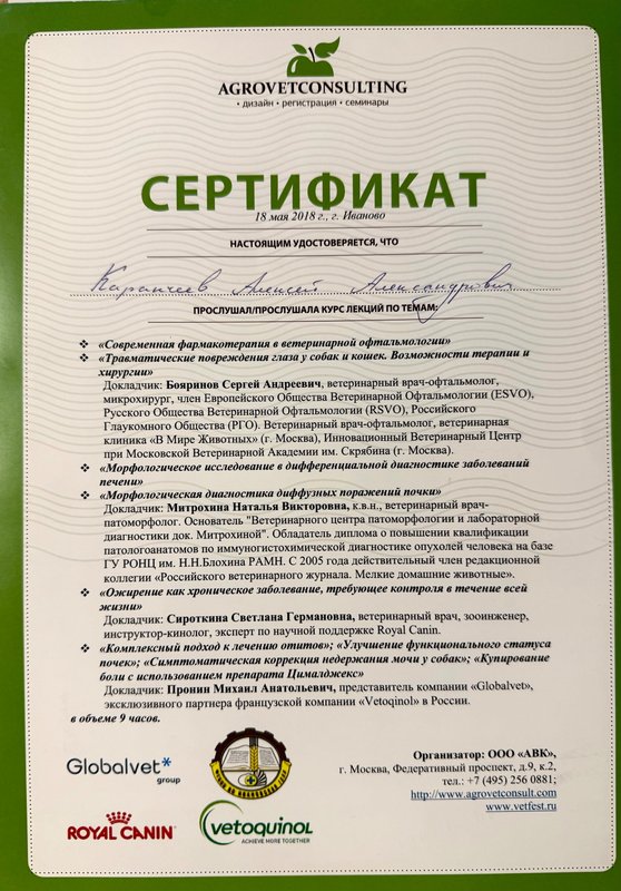 Документ или сертификат