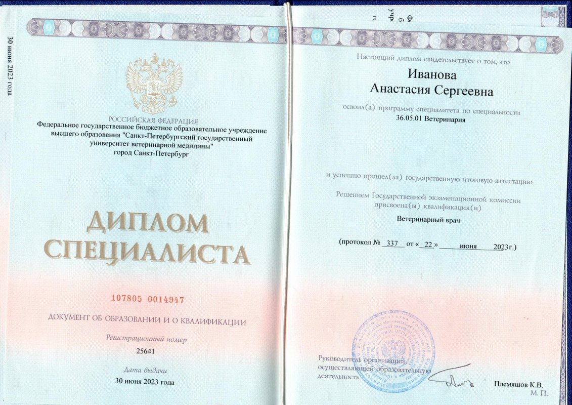 Документ или сертификат