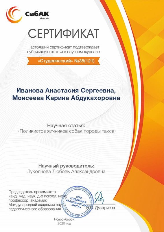 Документ или сертификат