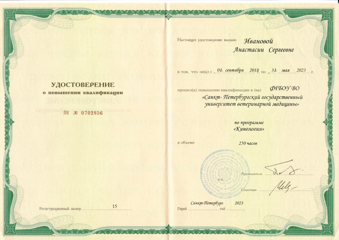 Документ или сертификат