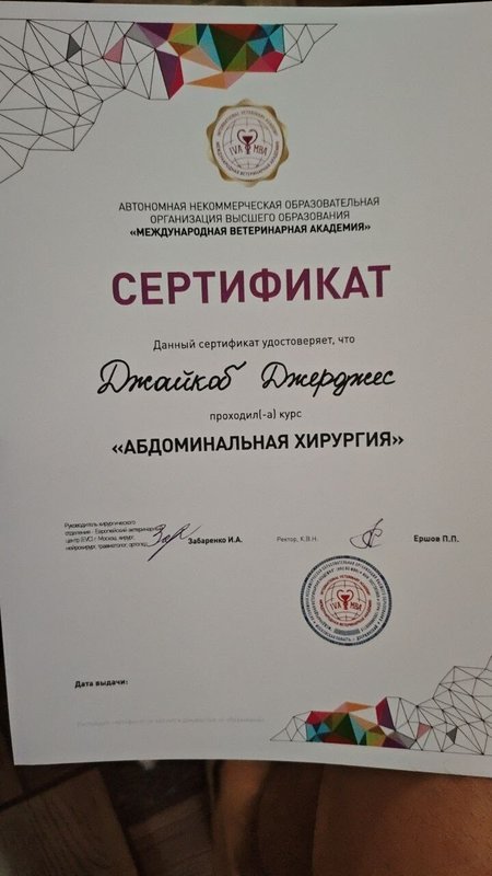 Документ или сертификат