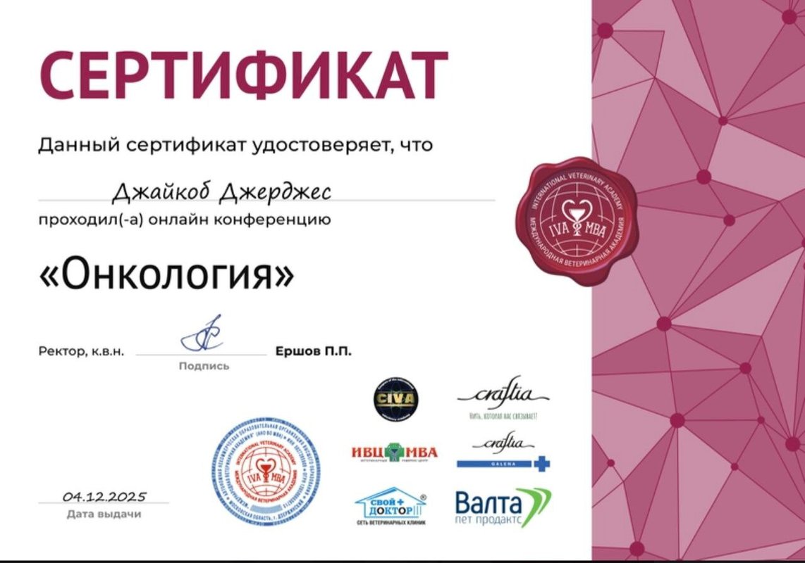 Документ или сертификат