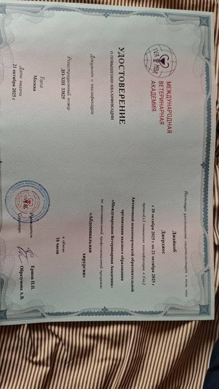 Документ или сертификат