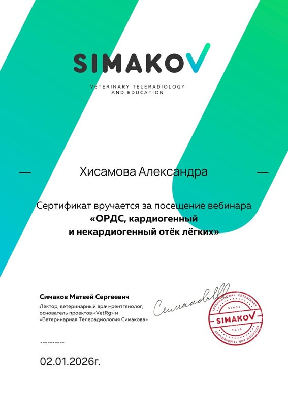 Документ или сертификат