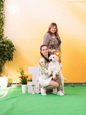 Фото врача Екатерина Глухова