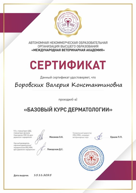Документ или сертификат